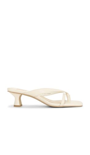 SANDALE BREVEL in . Größe 7. Also in 7.5 - Dolce Vita - Modalova
