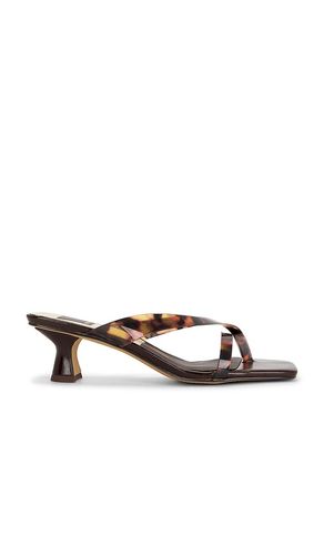 SANDALE BREVEL in . Größe 6. Also in 6.5, 7, 7.5, 8, 8.5, 9.5 - Dolce Vita - Modalova