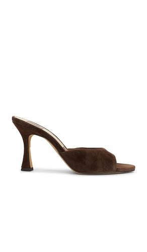 SANDALE ROSHA in . Größe 6. Also in 6.5, 7, 7.5, 8, 8.5 - Dolce Vita - Modalova