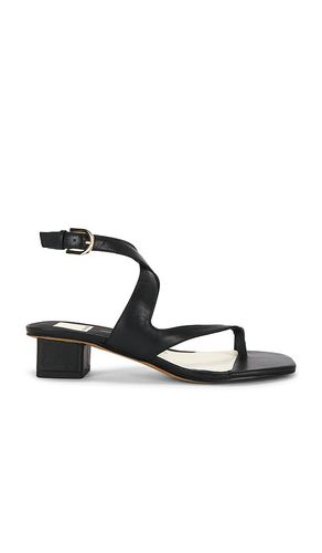SANDALE KAMEO in . Größe 6. Also in 6.5, 7, 7.5, 8, 8.5, 9, 9.5 - Dolce Vita - Modalova
