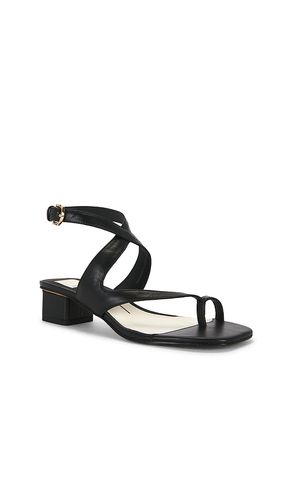 SANDALE KAMEO in . Größe 6. Also in 6.5, 7, 7.5, 8, 8.5, 9, 9.5 - Dolce Vita - Modalova