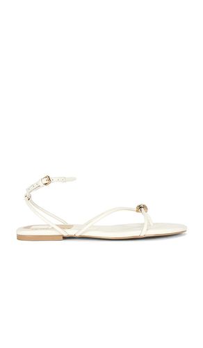 SANDALE KENLEY in . Größe 10. Also in 6, 6.5, 7, 7.5, 8, 8.5, 9.5 - Dolce Vita - Modalova