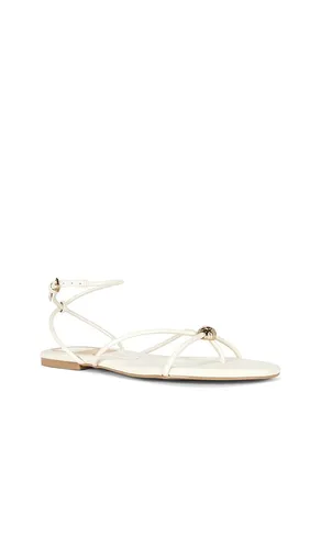 Kenley Sandal in . - size 10 (also in 6, 6.5, 7, 7.5, 8, 8.5, 9, 9.5) - Dolce Vita - Modalova