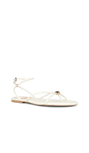 SANDALE KENLEY in . Größe 10. Also in 6, 6.5, 7, 7.5, 8, 8.5, 9.5 - Dolce Vita - Modalova