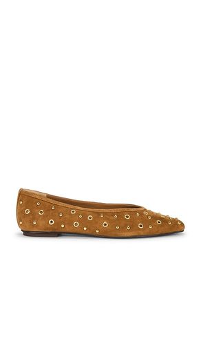 Caret Stud Ballet in Brown. - size 10 (also in 6, 6.5, 7, 7.5, 8, 8.5, 9, 9.5) - Dolce Vita - Modalova