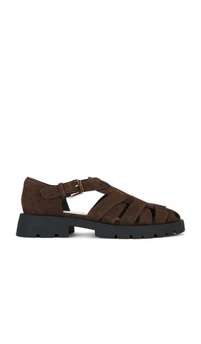 SANDALE ELSAH in . Größe 6.5. Also in 7, 7.5, 8, 8.5, 9, 9.5, 10 - Dolce Vita - Modalova