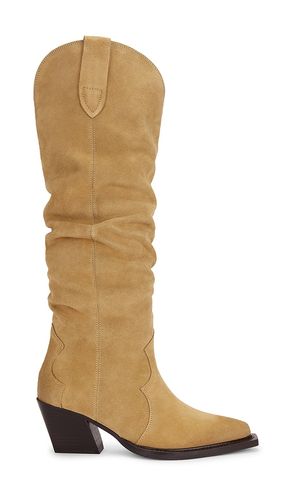BOOT BUCKLY in . Größe 6.5. Also in 8.5, 9 - Dolce Vita - Modalova
