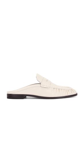 LOAFERS BETZY in . Größe 10. Also in 8, 8.5 - Dolce Vita - Modalova