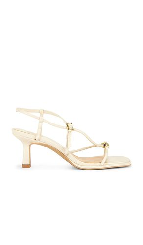 RIEMCHENSANDALEN MIT ABSATZ MYLEE in . Größe 6. Also in 6.5, 7, 7.5, 8, 8.5, 9 - Dolce Vita - Modalova