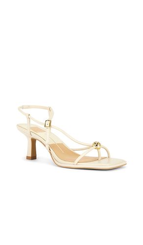 Mylee Sandal in Cream. - size 6 (also in 6.5, 7, 7.5, 8, 8.5, 9) - Dolce Vita - Modalova