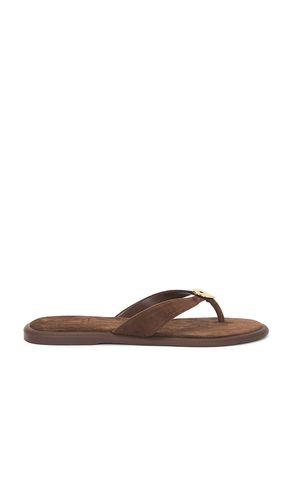 FLACHE FLIP-FLOPS JAINA in . Größe 6. Also in 7, 7.5, 8, 8.5, 9 - Dolce Vita - Modalova