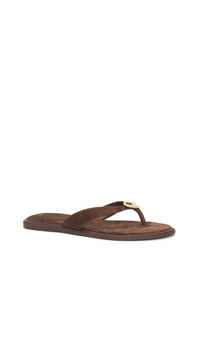 FLACHE FLIP-FLOPS JAINA in . Größe 7. Also in 7.5, 8 - Dolce Vita - Modalova