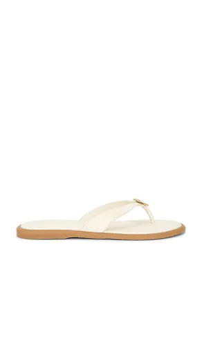 Jaina Sandal in Cream. - size 10 (also in 5.5, 6, 6.5, 7, 7.5, 8, 8.5, 9, 9.5) - Dolce Vita - Modalova