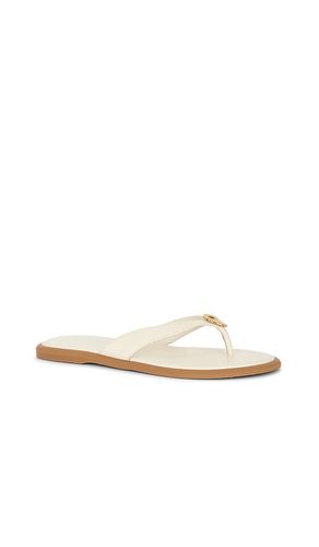FLACHE FLIP-FLOPS JAINA in . Größe 10. Also in 7 - Dolce Vita - Modalova