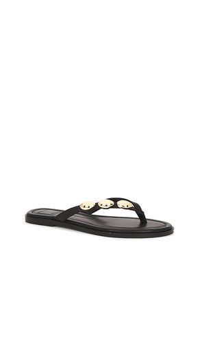 FLACHE FLIP-FLOPS JUNY in . Größe 6. Also in 6.5, 7, 7.5, 8, 8.5, 9, 9.5 - Dolce Vita - Modalova