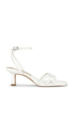 SANDALE MANJI in . Größe 8.5. Also in 9.5 - Dolce Vita - Modalova