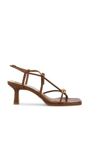 SANDALE MYLEE in . Größe 11. Also in 6, 6.5, 7, 7.5, 8, 8.5, 9, 9.5 - Dolce Vita - Modalova