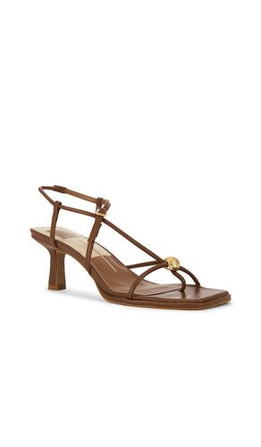 SANDALE MYLEE in . Größe 6. Also in 6.5, 7, 7.5, 8, 8.5, 9, 9.5, 11 - Dolce Vita - Modalova