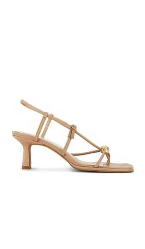 SANDALE MYLEE in . Größe 10. Also in 7, 8, 9 - Dolce Vita - Modalova