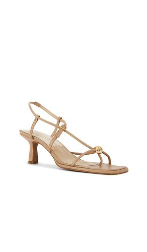 SANDALE MYLEE in . Größe 7. Also in 8, 9, 10 - Dolce Vita - Modalova