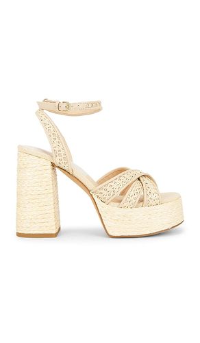 ESPADRILLES DANILA in . Größe 6.5. Also in 7, 7.5, 8, 8.5, 9, 9.5, 10 - Dolce Vita - Modalova