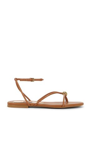 SANDALE KENLEY in . Größe 6.5. Also in 8, 9 - Dolce Vita - Modalova