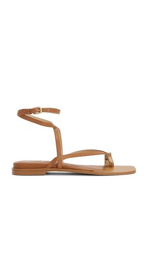 SANDALE TYRICE in . Größe 10. Also in 6, 6.5, 7, 8, 8.5, 9, 9.5 - Dolce Vita - Modalova