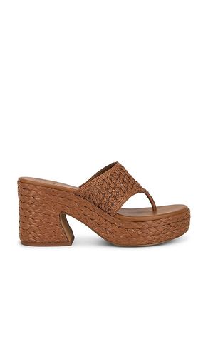Ripple Sandal in Brown. - size 6.5 (also in 7.5, 8, 8.5, 9) - Dolce Vita - Modalova