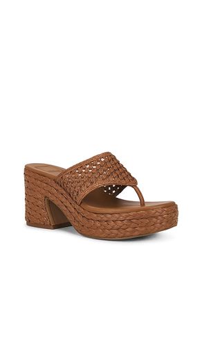 Ripple Sandal in Brown. - size 6.5 (also in 7.5, 8, 8.5, 9) - Dolce Vita - Modalova