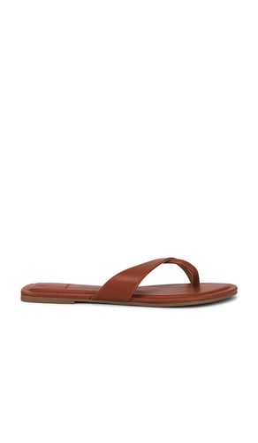 Lenex Thong Sandal in Brown. - size 6 (also in 6.5, 7, 7.5, 8, 8.5, 9, 9.5) - Dolce Vita - Modalova