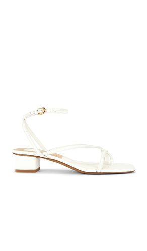 HIGH-HEELS KARLOS in . Größe 6.5. Also in 7, 8 - Dolce Vita - Modalova
