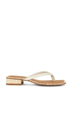 Barty Thong Sandal in . Size 6. Also in 7.5, 8, 8.5 - Dolce Vita - Modalova