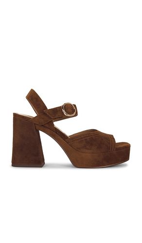 Fatima Platform Sandal in Chocolate. - size 10 (also in 6, 6.5, 7, 7.5, 8, 8.5, 9, 9.5) - Dolce Vita - Modalova