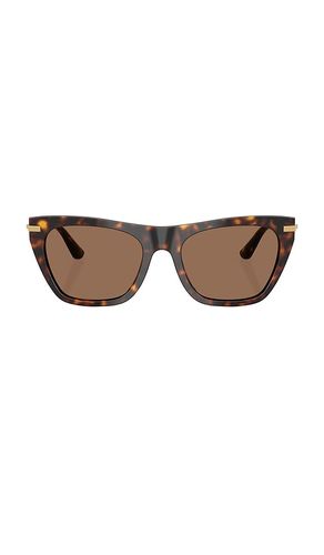 Gafas de sol en color marrón talla all - Dolce & Gabbana - Modalova