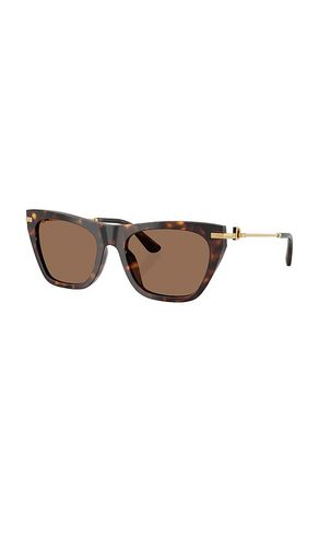 Cat Eye Sunglasses in - Dolce & Gabbana - Modalova