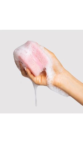 Super Scrubber 3 Pack in - Dotti - Modalova