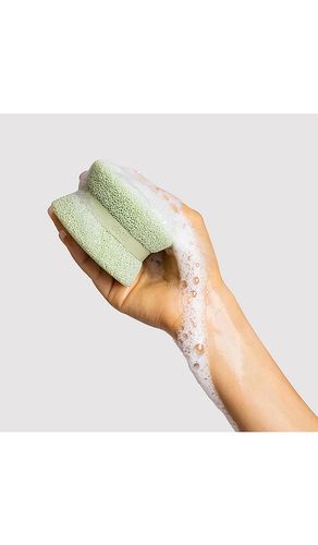 Super Scrubber 3 Pack in - Dotti - Modalova