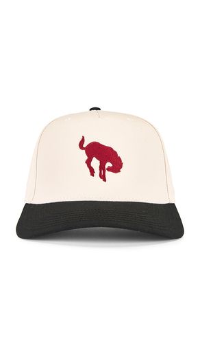 Darlin Horse Cap in Cream - Darlin - Modalova