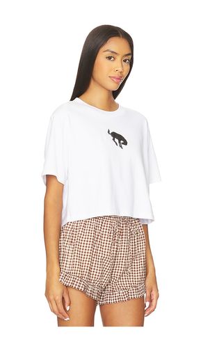 Buckin' Bronc Cropped Tee in . - size L (also in M, S, XL, XS) - Darlin - Modalova