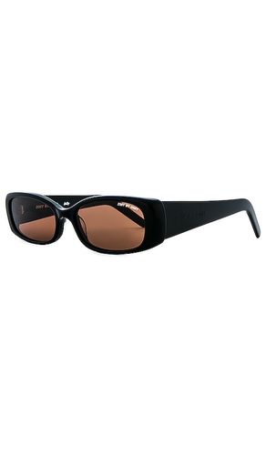 Billy Sunglasses in - DMY Studios - Modalova