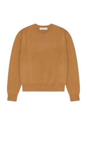 Cashmere Crew Neck Sweater in Brown. - size L (also in M, S, XL/1X) - Dunst - Modalova