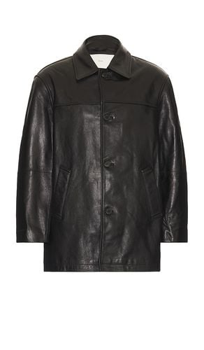 Leather Half Jacket in . - size L (also in M, XL/1X) - Dunst - Modalova