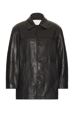 Leather Half Jacket in . - size L (also in XL/1X) - Dunst - Modalova