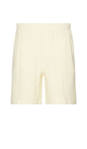 Enzi Seersucker Shorts in Lemon. - size L (also in M, S) - Daily Paper - Modalova