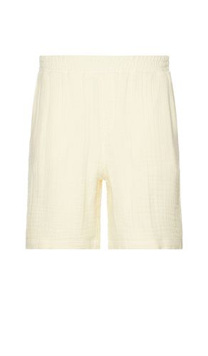 Enzi Seersucker Shorts in Lemon. - size L (also in M, S, XL/1X) - Daily Paper - Modalova