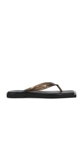 Flip Flops in . Taglia 37. Also in 38, 39, 41 - Dirt - Modalova