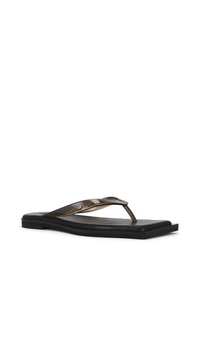 Flip Flops in . Size 37. Also in 38, 39, 41 - Dirt - Modalova