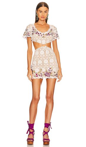 Jane Mini Dress in . - size L (also in M, XL) - DUNDAS x REVOLVE - Modalova