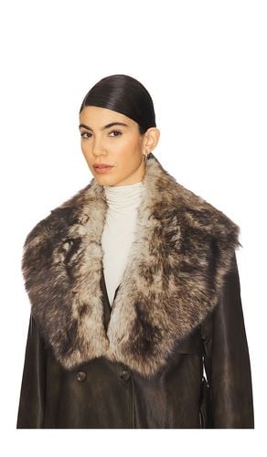 Ducie Maddy Fur Collar in Brown - Ducie - Modalova