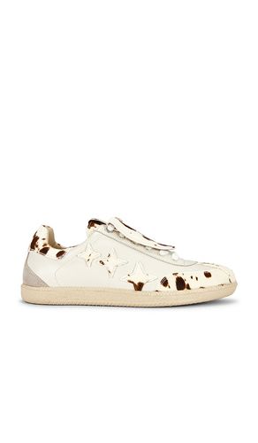 SNEAKERS PLUS DUKE in . Größe 9. Also in 10, 11, 12, 13 - Duke + Dexter - Modalova
